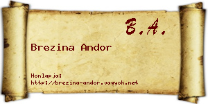Brezina Andor névjegykártya